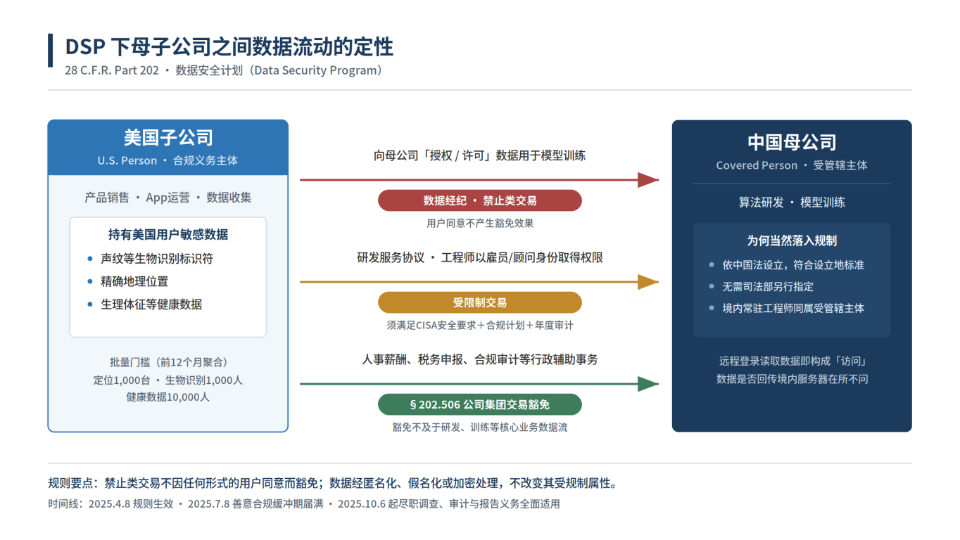 图1 — DSP 下母子公司之间数据流动的定性(28 C.F.R. Part 202)